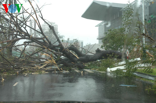 ภาคกลางเวียดนามแก้ไขผลเสียหายจากพายุนารี